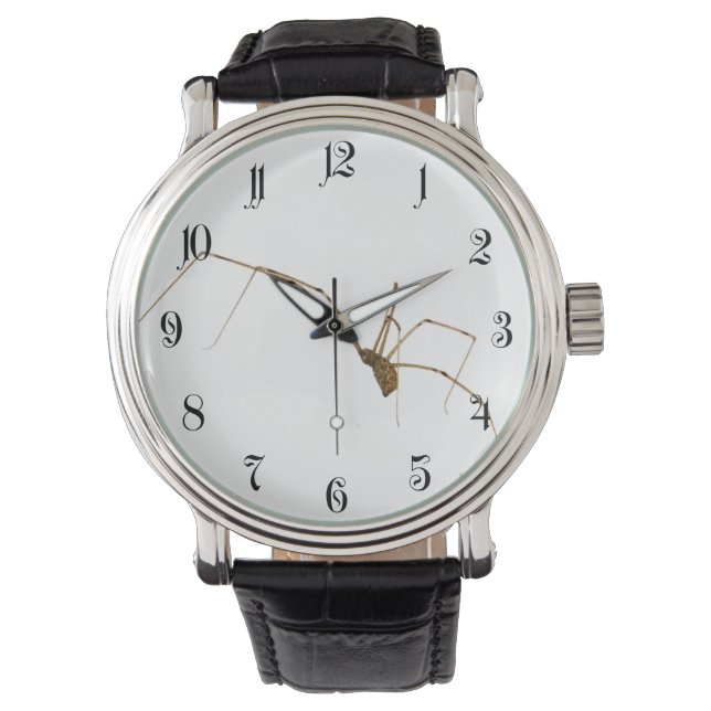 Spider Watch (Front)