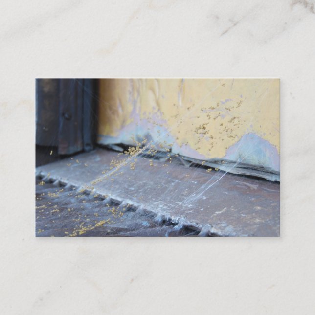 Spider Web Business Card (Front)