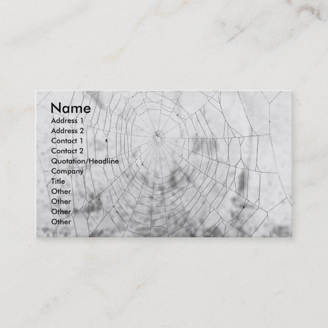 Spider web business card (Front)