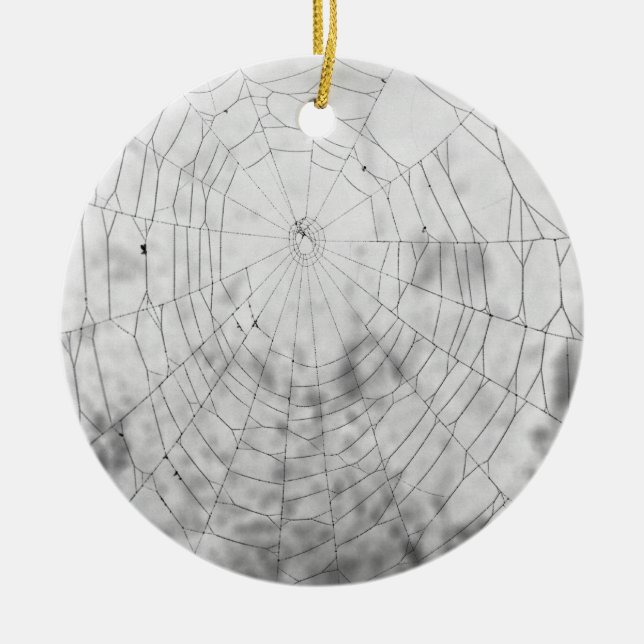 Spider web ceramic ornament (Front)