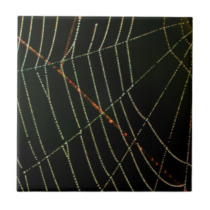 Spider Web Ceramic Tile