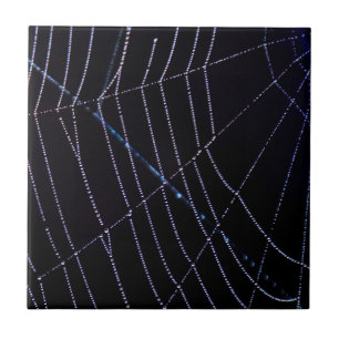 Spider Web Ceramic Tile