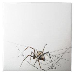 Spider Web Ceramic Tile