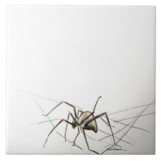 Spider Web Ceramic Tile