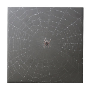 Spider Web Ceramic Tiles