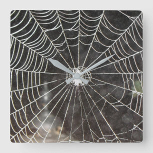 Spider Web Clock  Arachnology