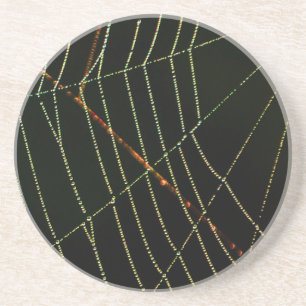 Spider Web Coaster