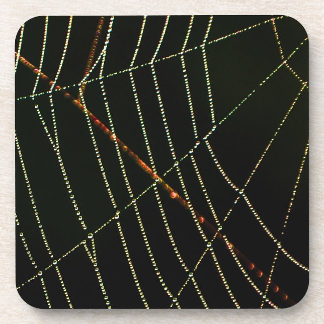 Spider Web Coaster (Front)