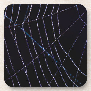 Spider Web Coaster
