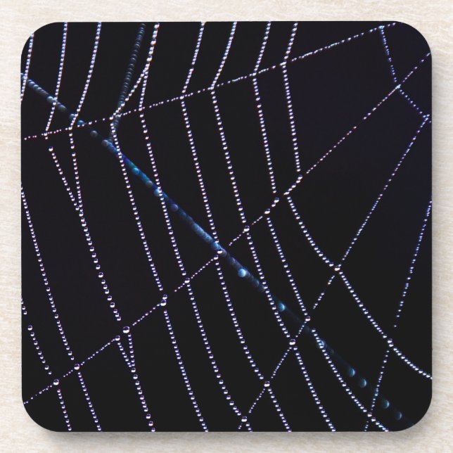 Spider Web Coaster (Front)