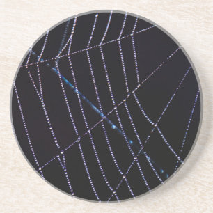 Spider Web Coaster