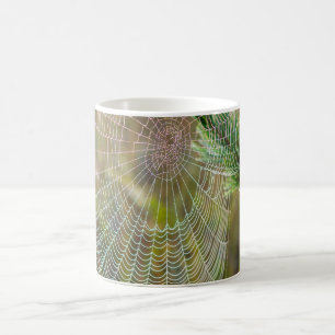 Spider Web Coffee Mag Mug