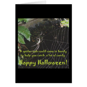 Spider & Web Halloween Card