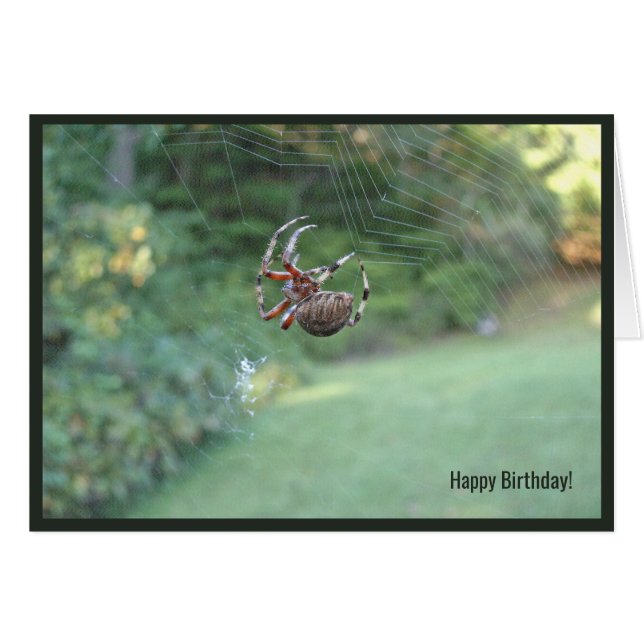 Spider web internet birthday greeting card (Front Horizontal)