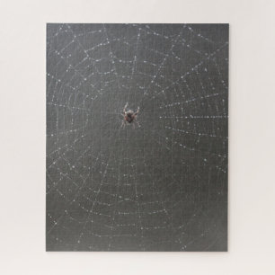 Spider Web Jigsaw Puzzle