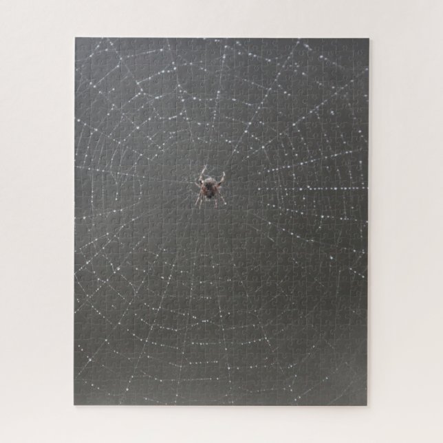 Spider Web Jigsaw Puzzle (Vertical)