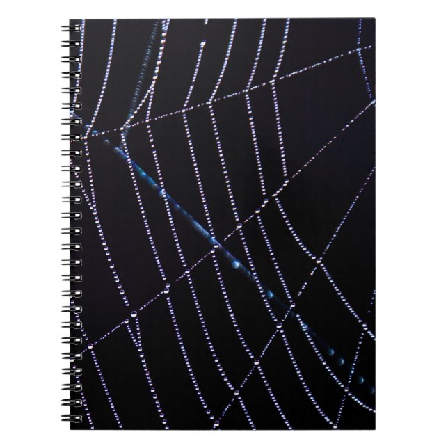 Spider Web Notebook (Front)