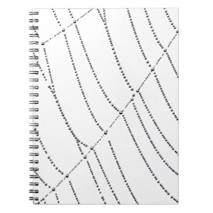 Spider Web Notebook