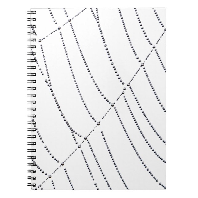 Spider Web Notebook (Front)