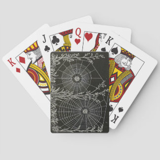 Spider Web Playing cards. Poker Black Jack Animal Playing Cards