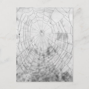 Spider web postcard