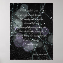 Spider Web Poster