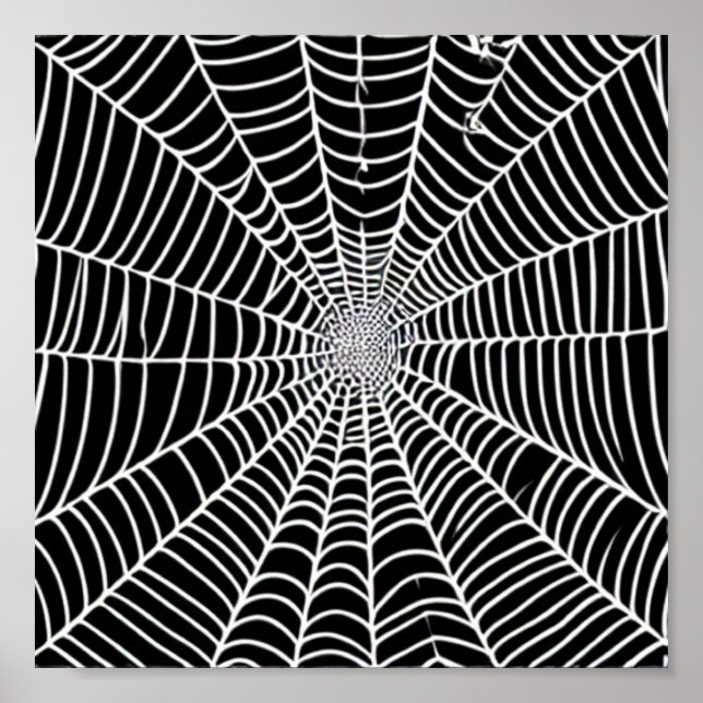 Spider  Web Poster (Front)
