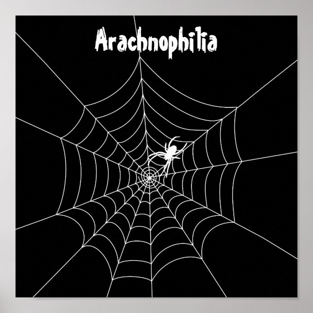 Spider Web Poster (Front)