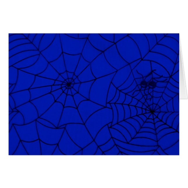 Spider Web, Spider Net, Cobweb, Spider, Insect (Front Horizontal)
