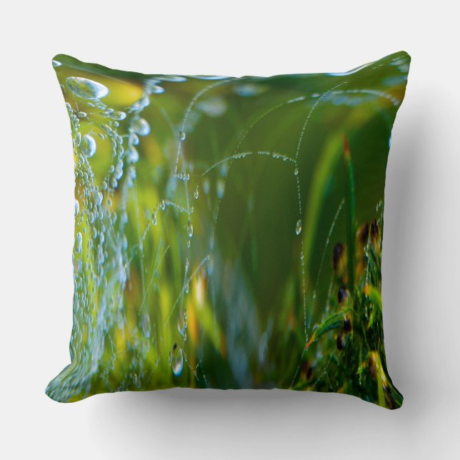 Spider Web Throw Pillows (Front)