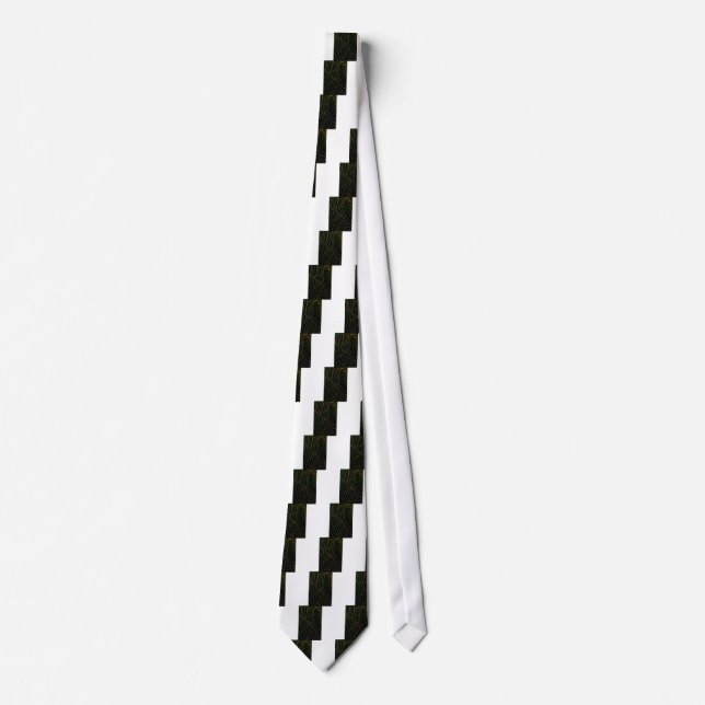 Spider Web Tie (Front)
