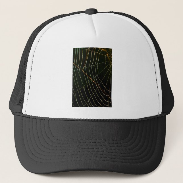 Spider Web Trucker Hat (Front)