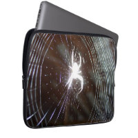 Spider Webbed