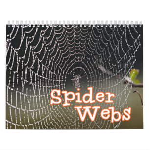 Spider Webs Wall Calendar