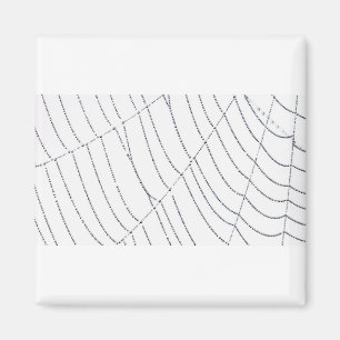 Spider Work 1 Magnet