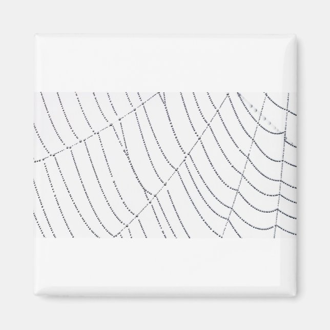 Spider Work 1 Magnet (Front)
