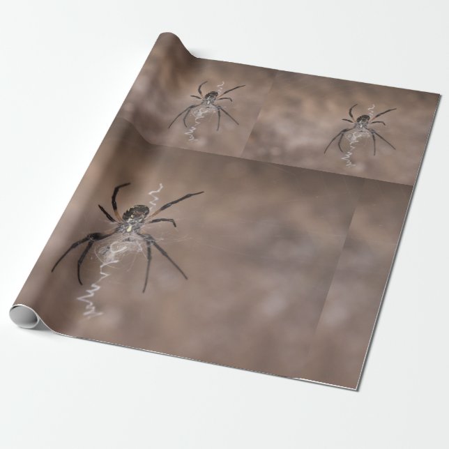 Spider Wrapping Paper (Unrolled)