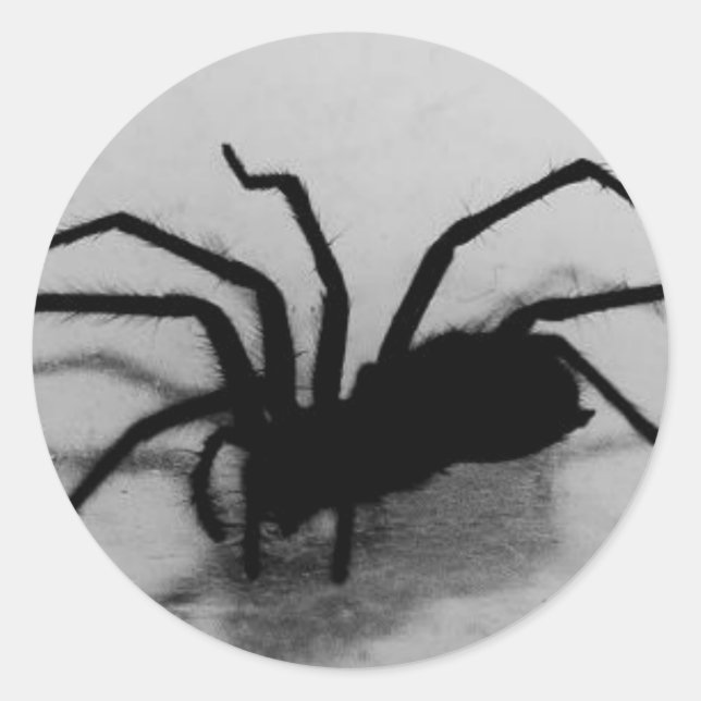 spideroo classic round sticker (Front)