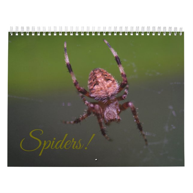 Spiders! Calendar (Cover)
