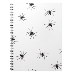 spiders notebook