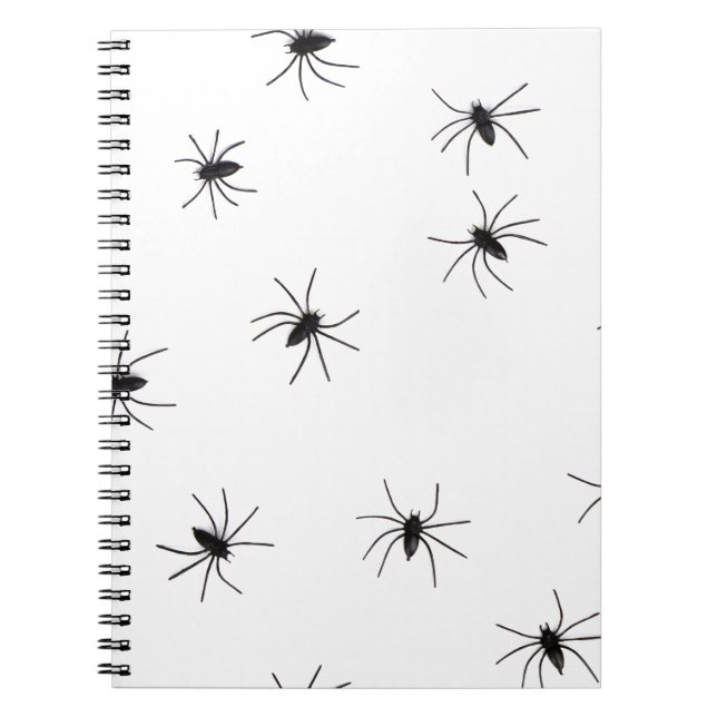 spiders notebook (Front)
