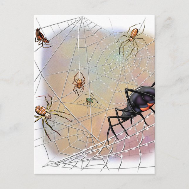 Spiders Postcard (Front)