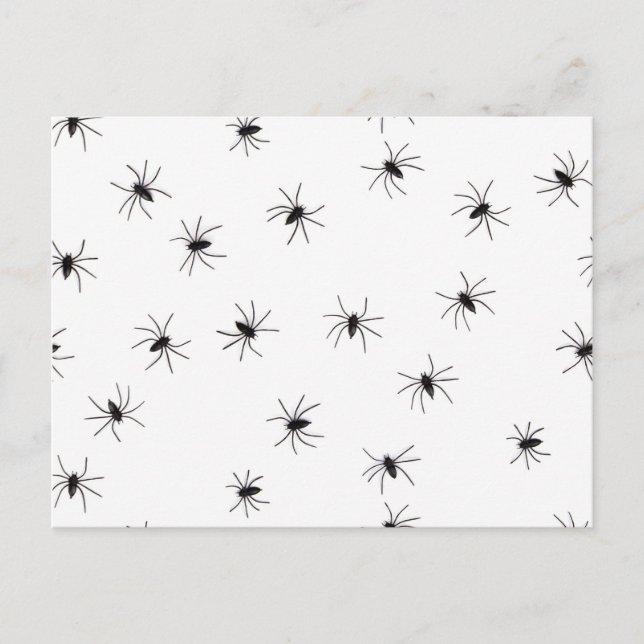Spiders Postcard (Front)