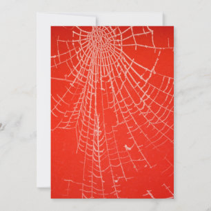 Spiders Web Invitation
