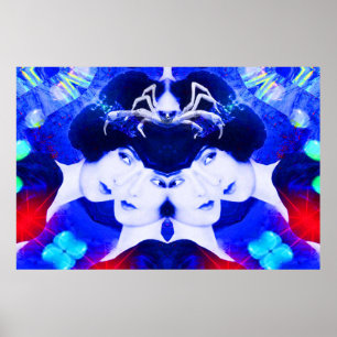 Spiders Web Poster