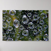 Spiderweb Droplets
