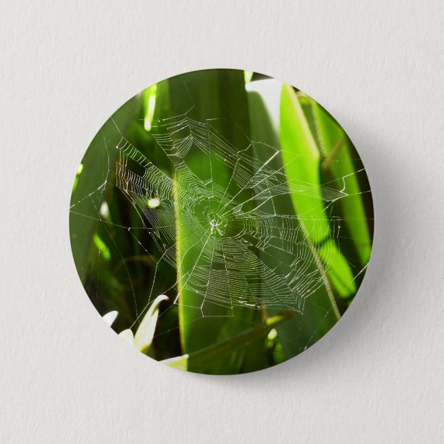 Spiderweb in Tropical Leaves Nature 6 Cm Round Badge (Front)