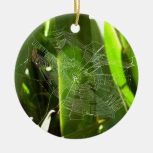 Spiderweb in Tropical Leaves Nature Ceramic Ornament