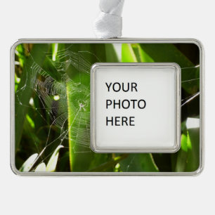 Spiderweb in Tropical Leaves Nature Silver Plated Framed Ornament