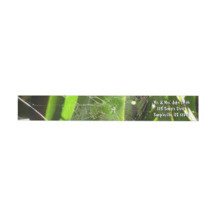 Spiderweb in Tropical Leaves Nature Wrap Around Label